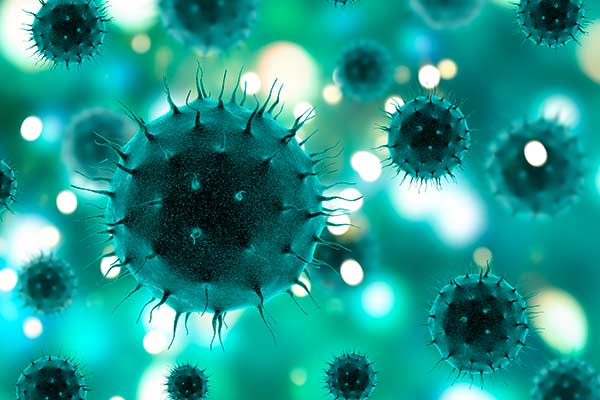 Bacteria Multirresistente